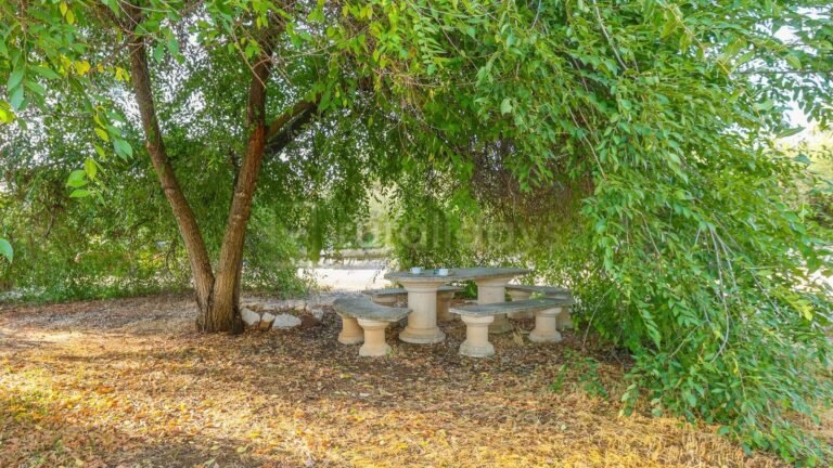 El Pantano - Espacio Conviven