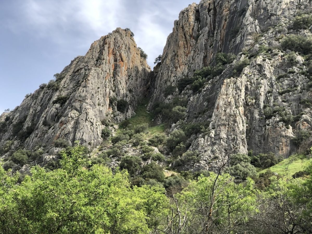 15D14584-0943-47F5-B220-B3DED2D68BBB